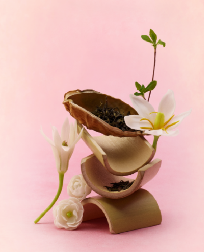 Fresh milk tea-Molly Tea